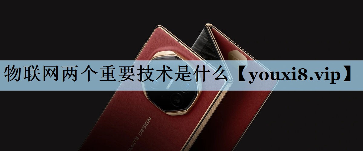 物联网两个重要技术是什么