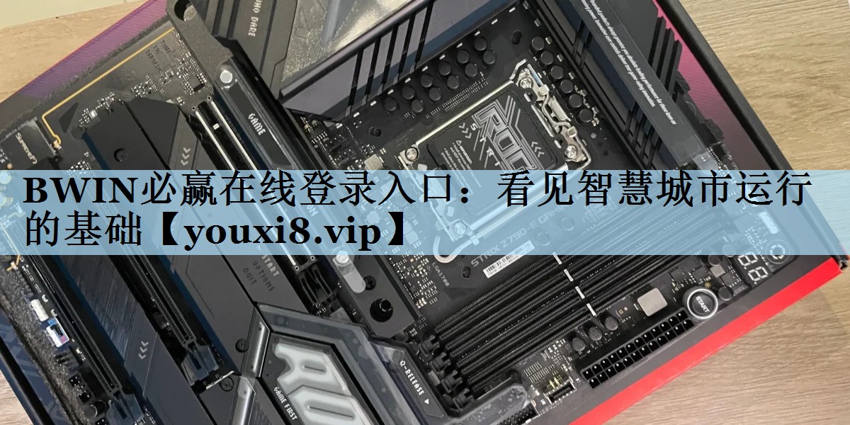 BWIN必赢在线登录入口：看见智慧城市运行的基础