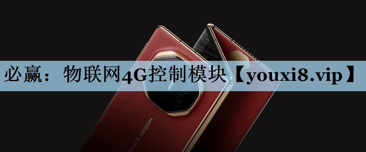 必赢：物联网4G控制模块