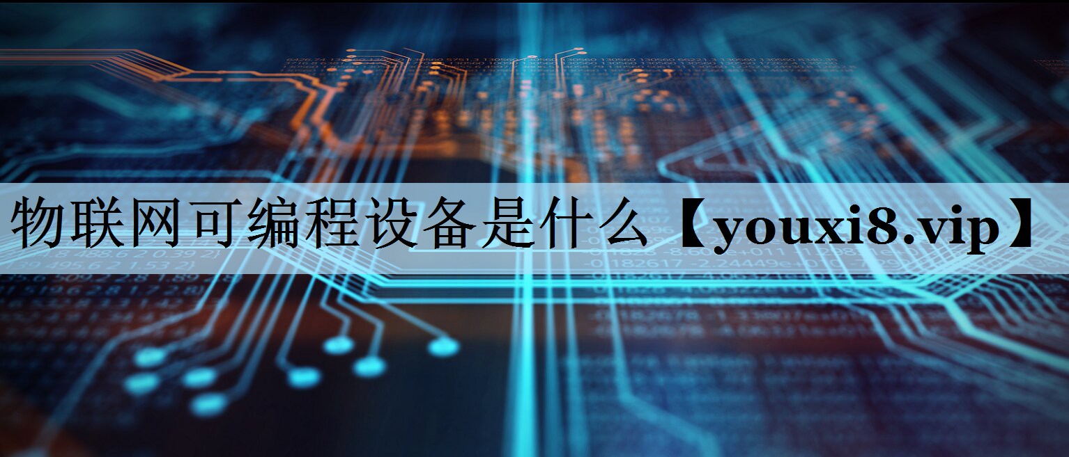 物联网可编程设备是什么